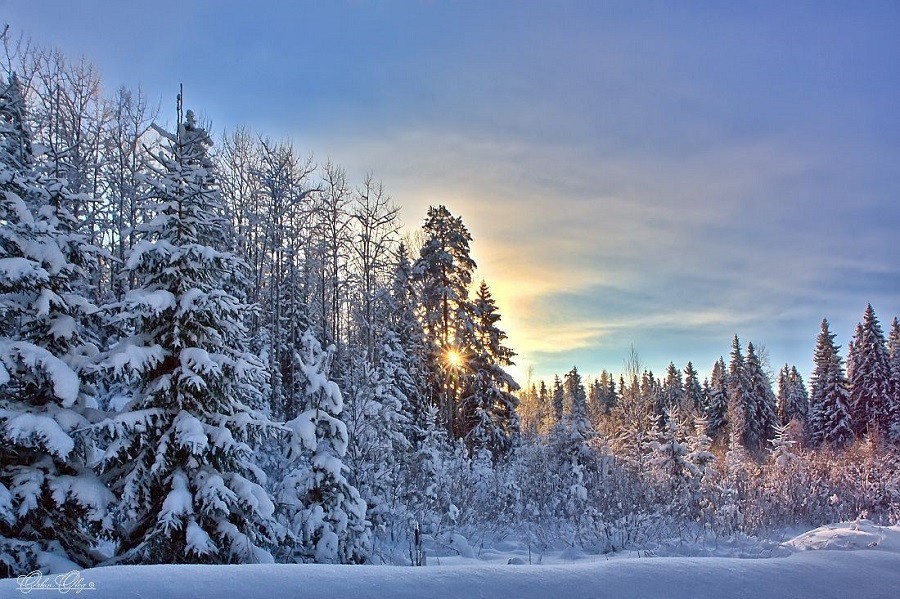 L'inverno sta arrivando: il solstizio è oggi pomeriggio 