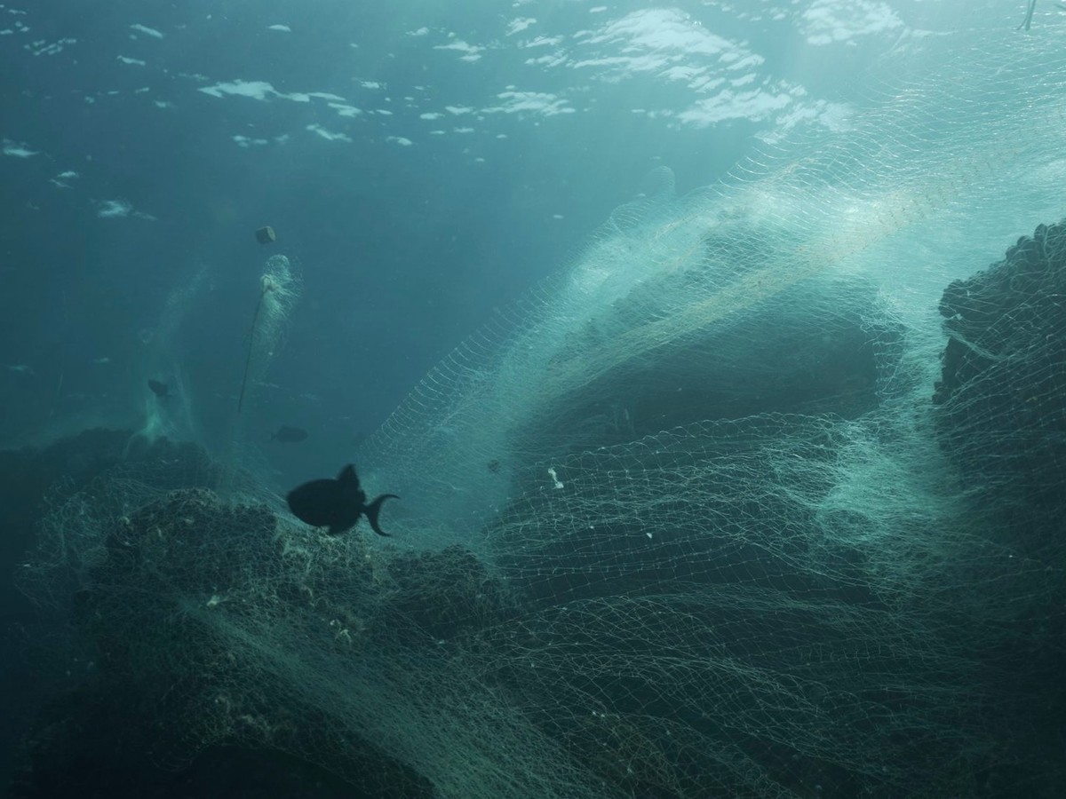 L'inquinamento delle reti da pesca che vengono abbandonate nei mari