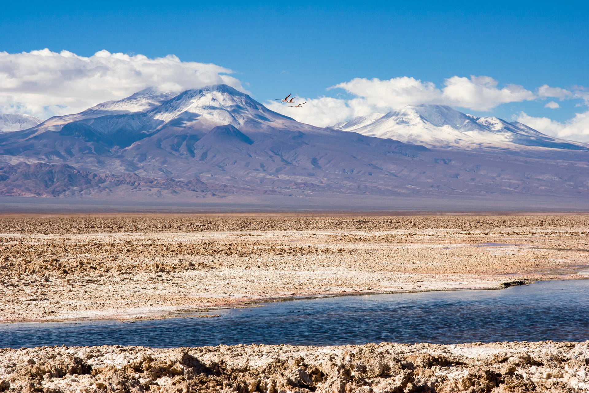 BMW se une a proyecto sustentable de minería de litio en Chile