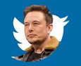 Elon Musk buys 9.2% of Twitter after criticizing the social network: what are his plans?