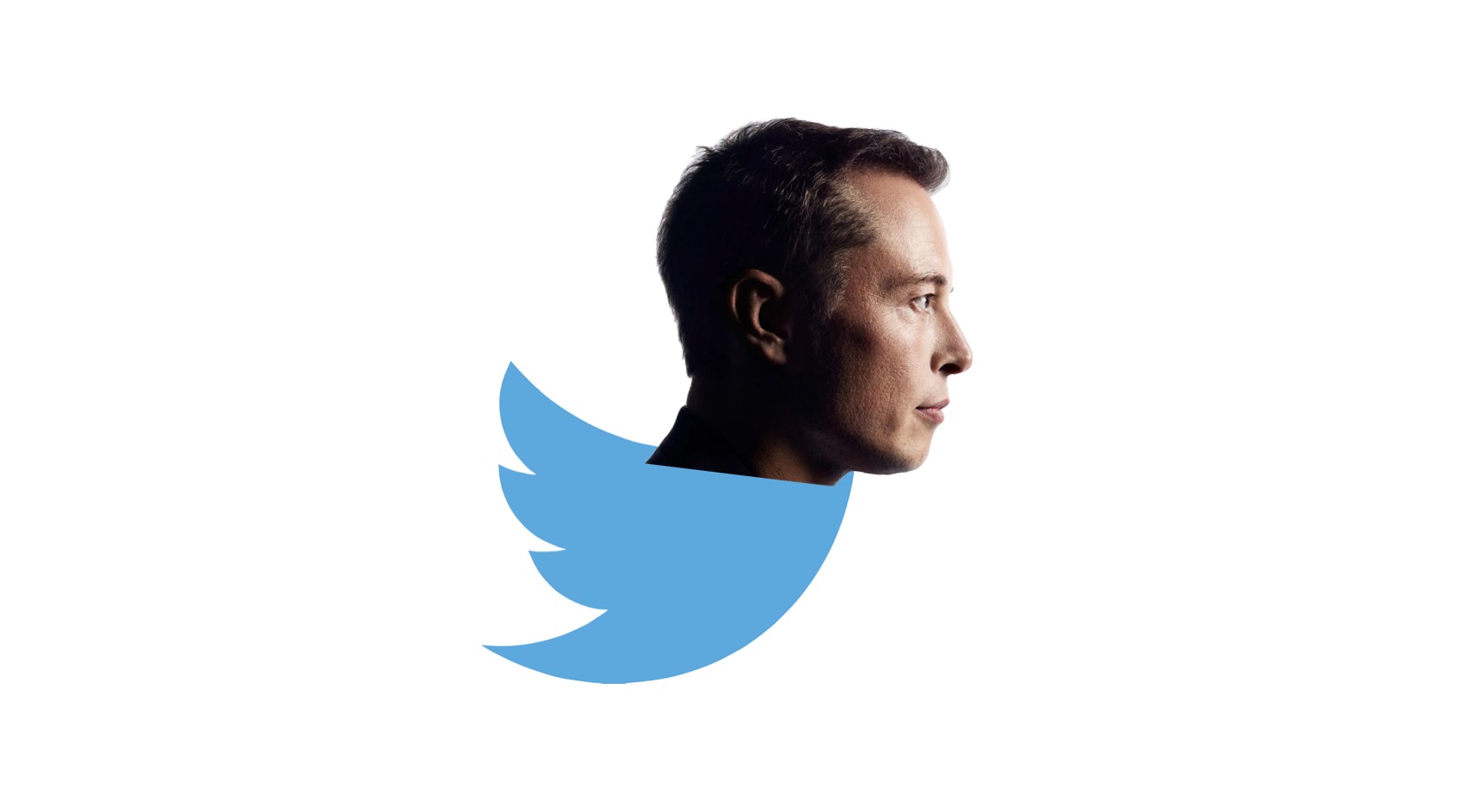 Twitter e le provocazioni di Elon Musk: cosa cambierà davvero?