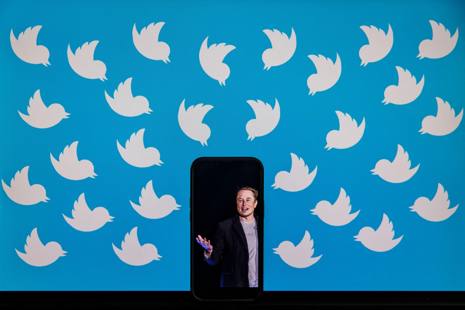 Twitter 2.0: Musk pensa a renderlo tutto a pagamento 