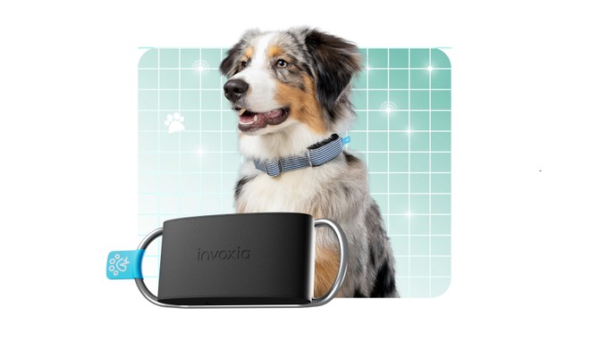 CES 2024: questo collare intelligente rileva le aritmie di cani e gatti
