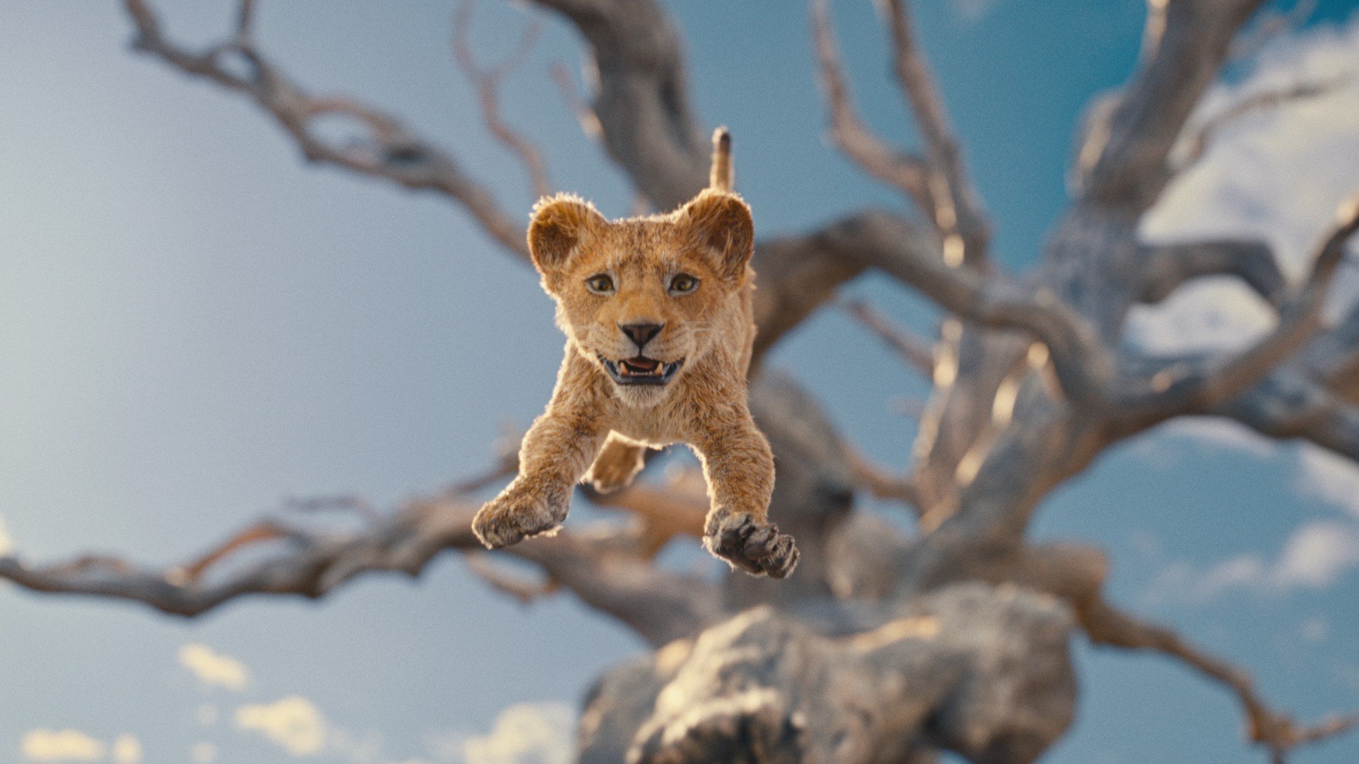 Mufasa: Il Re Leone arriva su Disney+ dal 26 marzo, fenomeno da 700 milioni