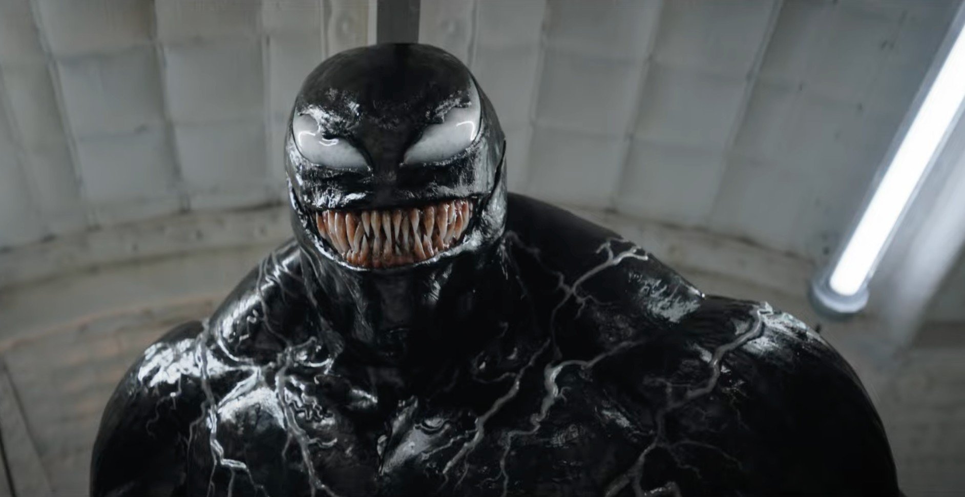 Venom: The Last Dance, nel primo trailer il simbionte diventa un cavallo |  Data Italia - HDblog.it