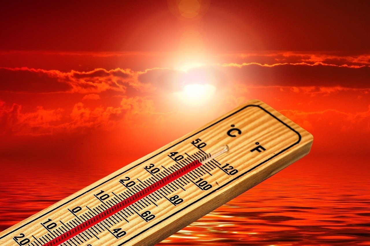 2°C di riscaldamento, il cambiamento climatico minaccia 1 coltivazione su 3