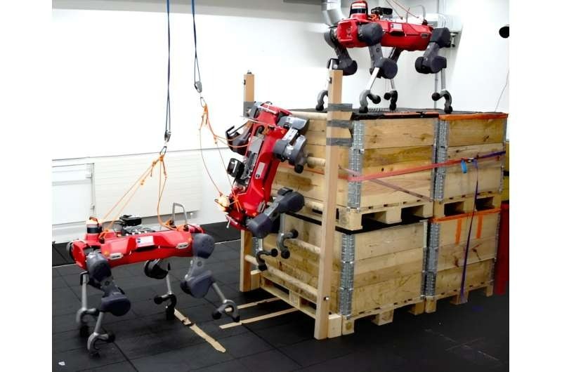 Robot quadrupede impara ad arrampicarsi sulle scale | Video