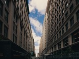 Galleria immagini