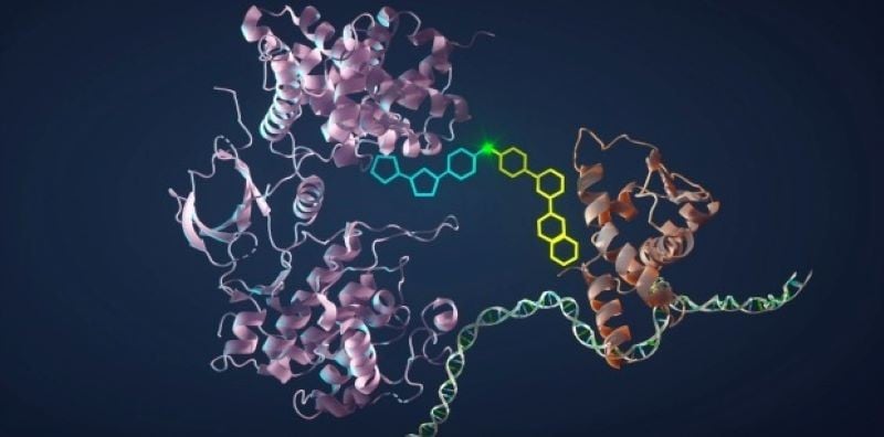 Svolta nella lotta al cancro: proteina induce l'autodistruzione delle cellule tumorali