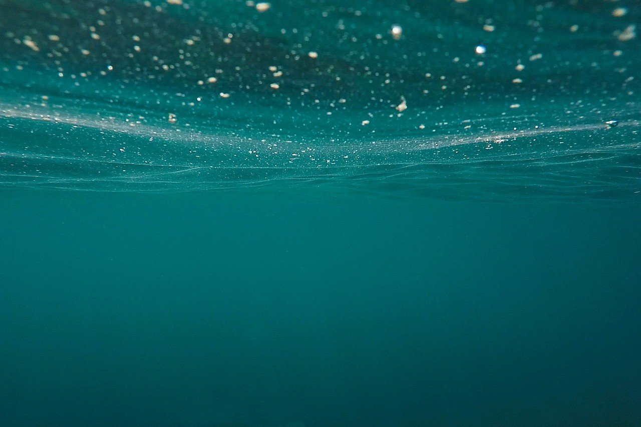 Cattura CO2 negli oceani, un aiuto dalle fogne