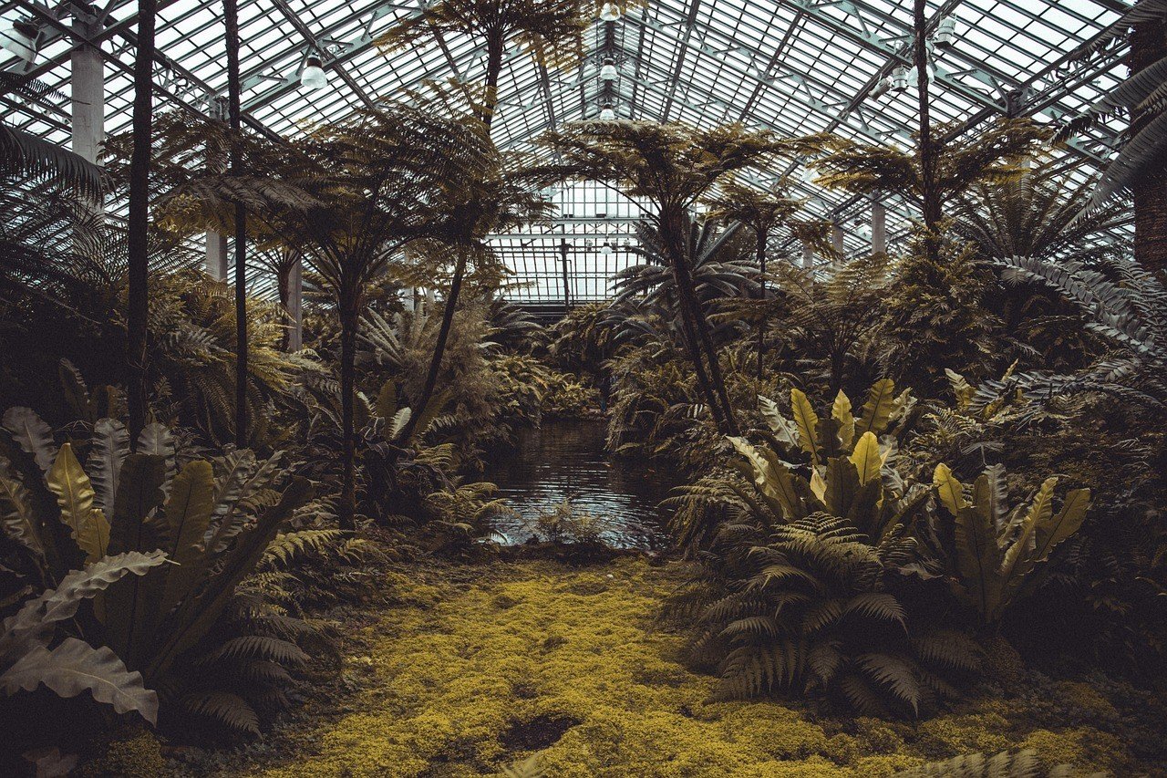 COP16 Roma, urge un accordo per salvaguardare la biodiversità