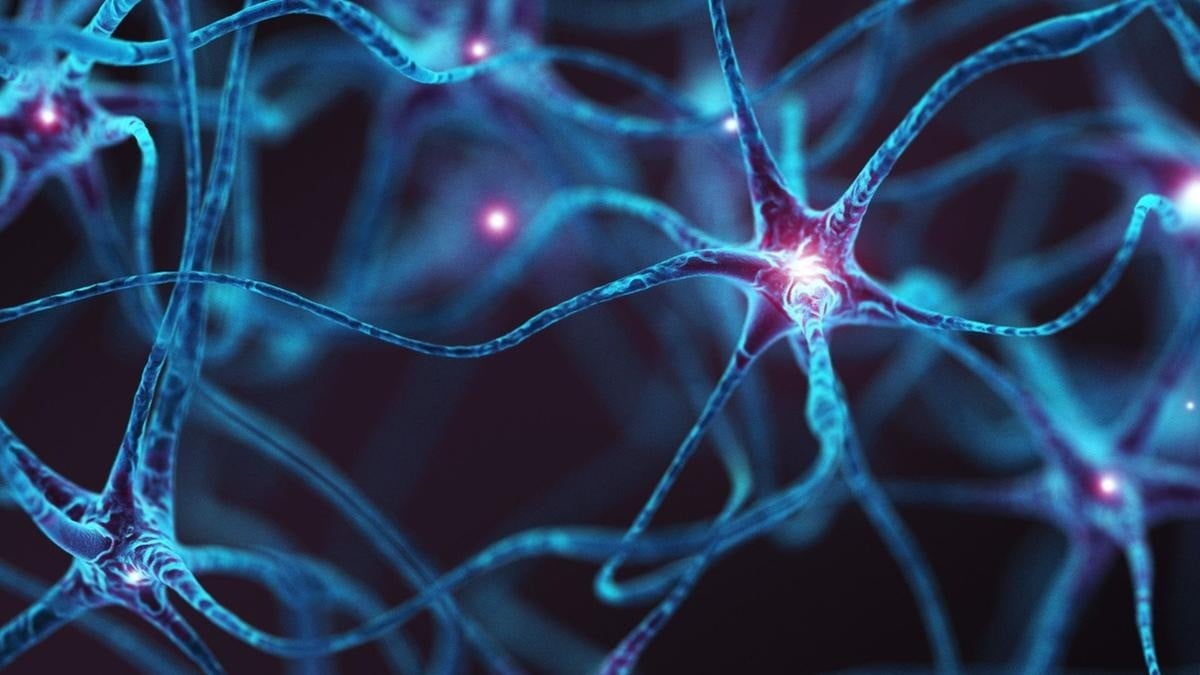 Scienziati del MIT trasformano cellule della pelle in neuroni: svolta per lesioni spinali