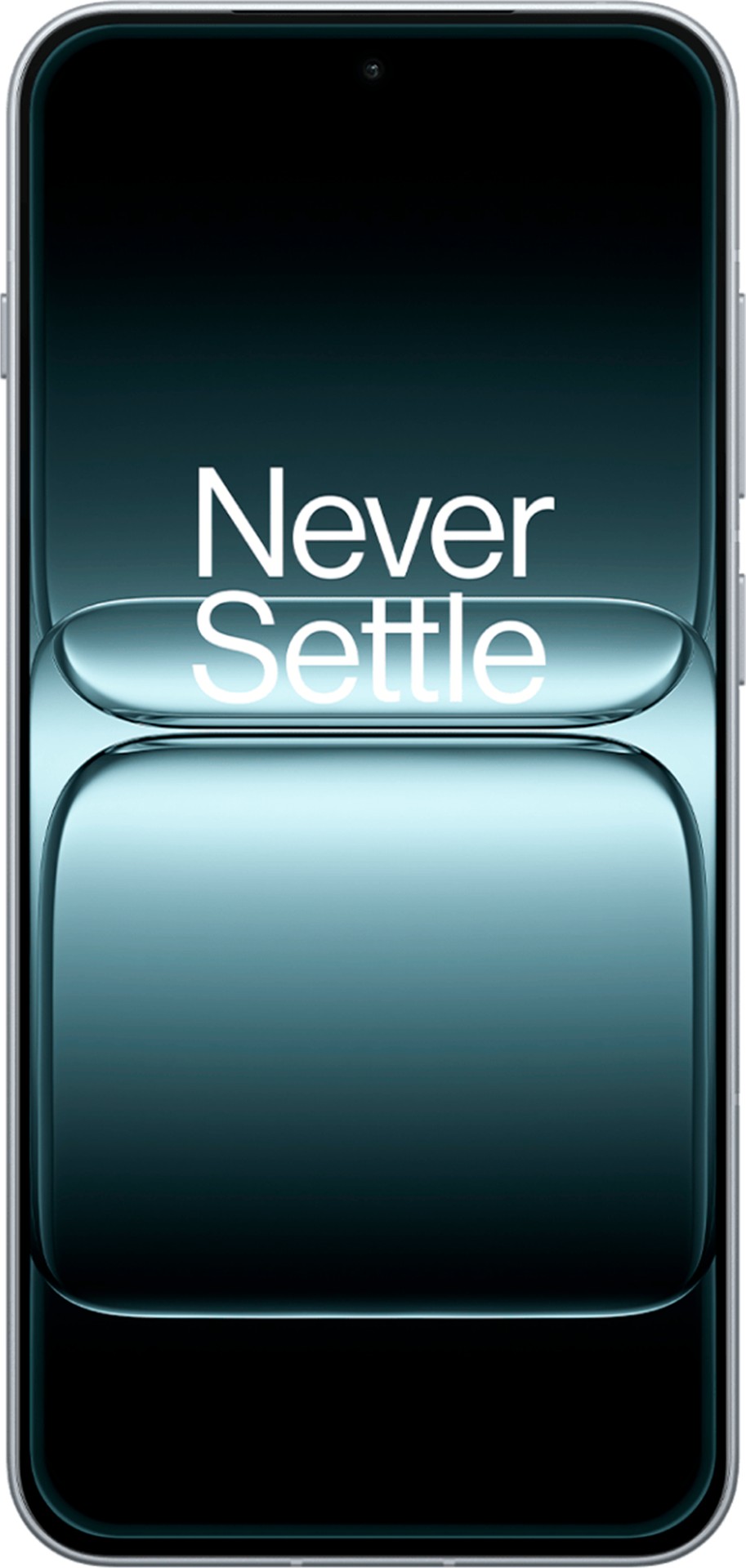 OnePlus 13T