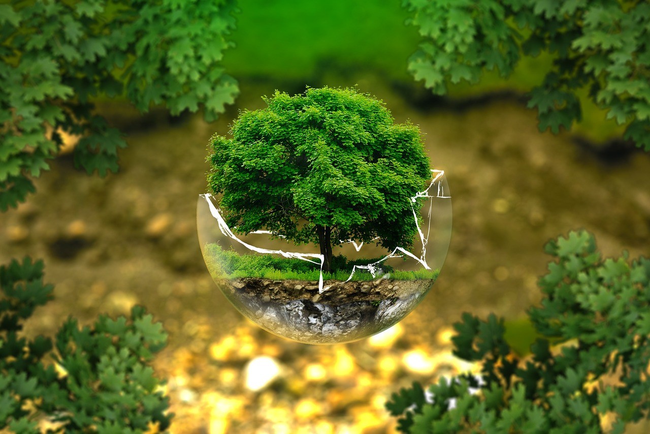 Biomass, il satellite europeo che svela i segreti delle foreste