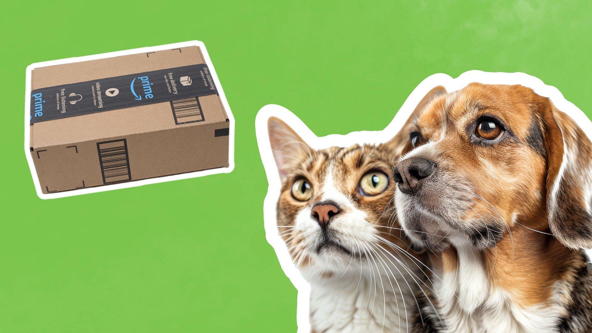 Amazon ora vende farmaci per animali in USA