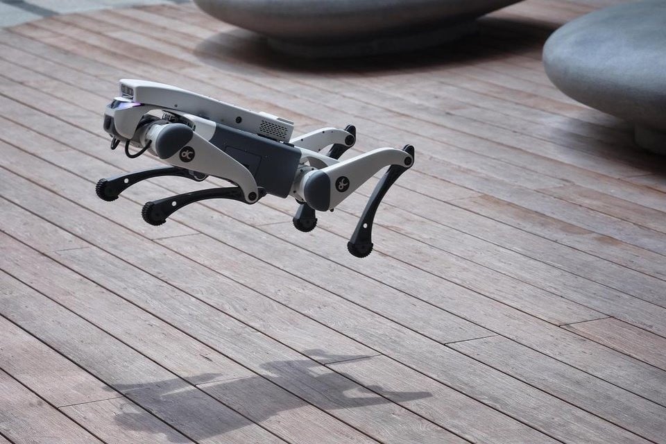 Singapore, città del futuro? Cani robot a pattugliare le strade