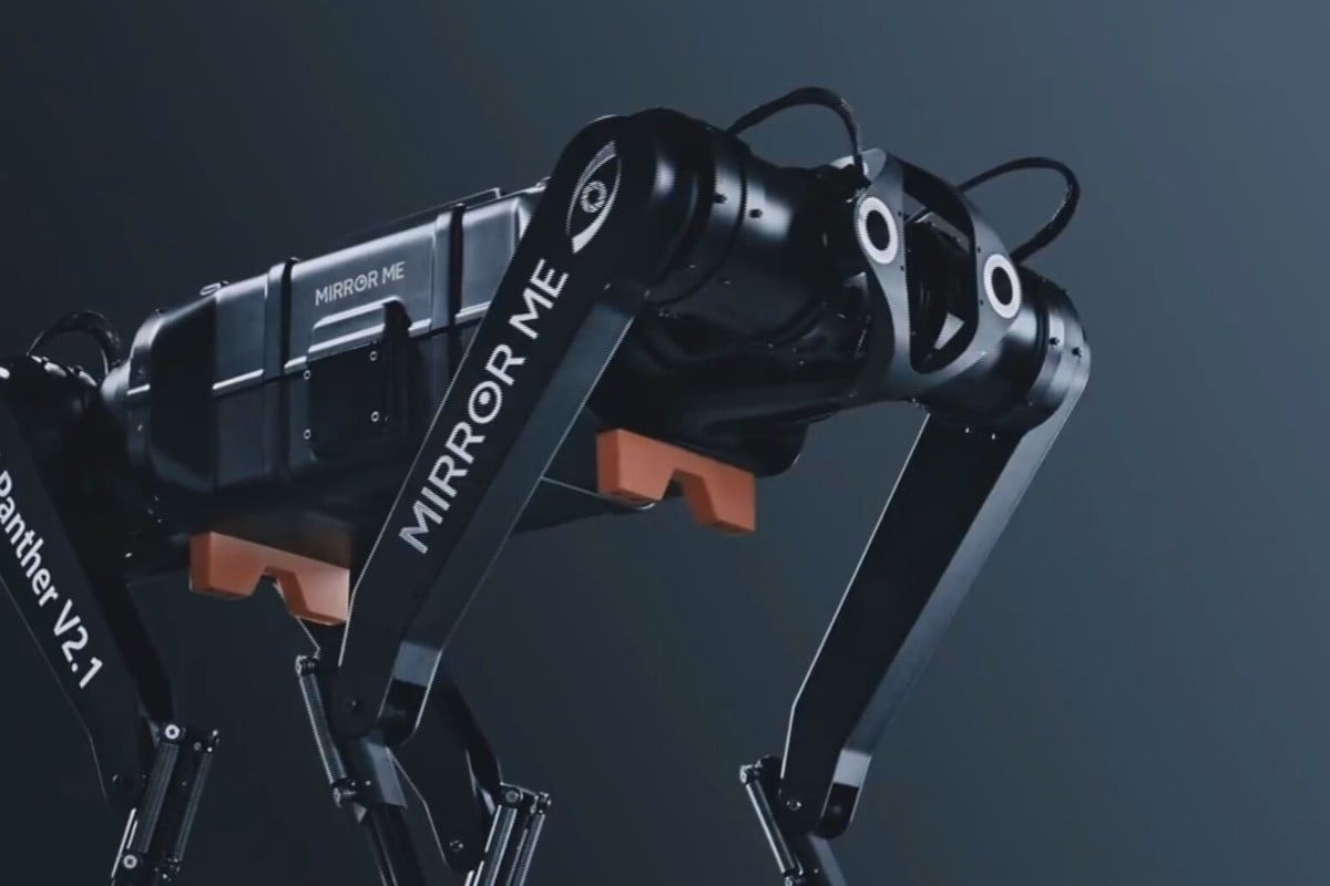 Cane robot cinese: 100 metri in meno di 10 secondi, è record | Video