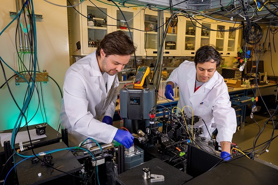 Da una cellula al computer quantistico: la proteina che diventa qubit