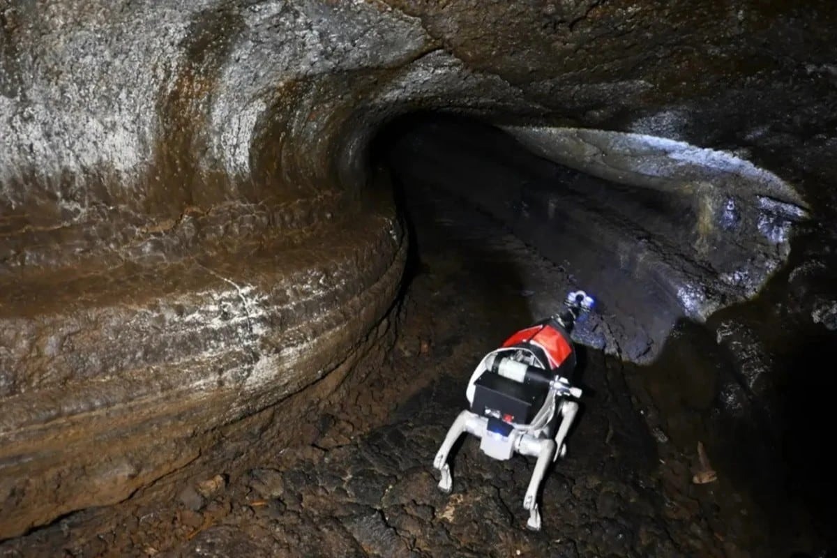 Cani robotici sulla Luna: potrebbero svelare grotte segrete per basi umane