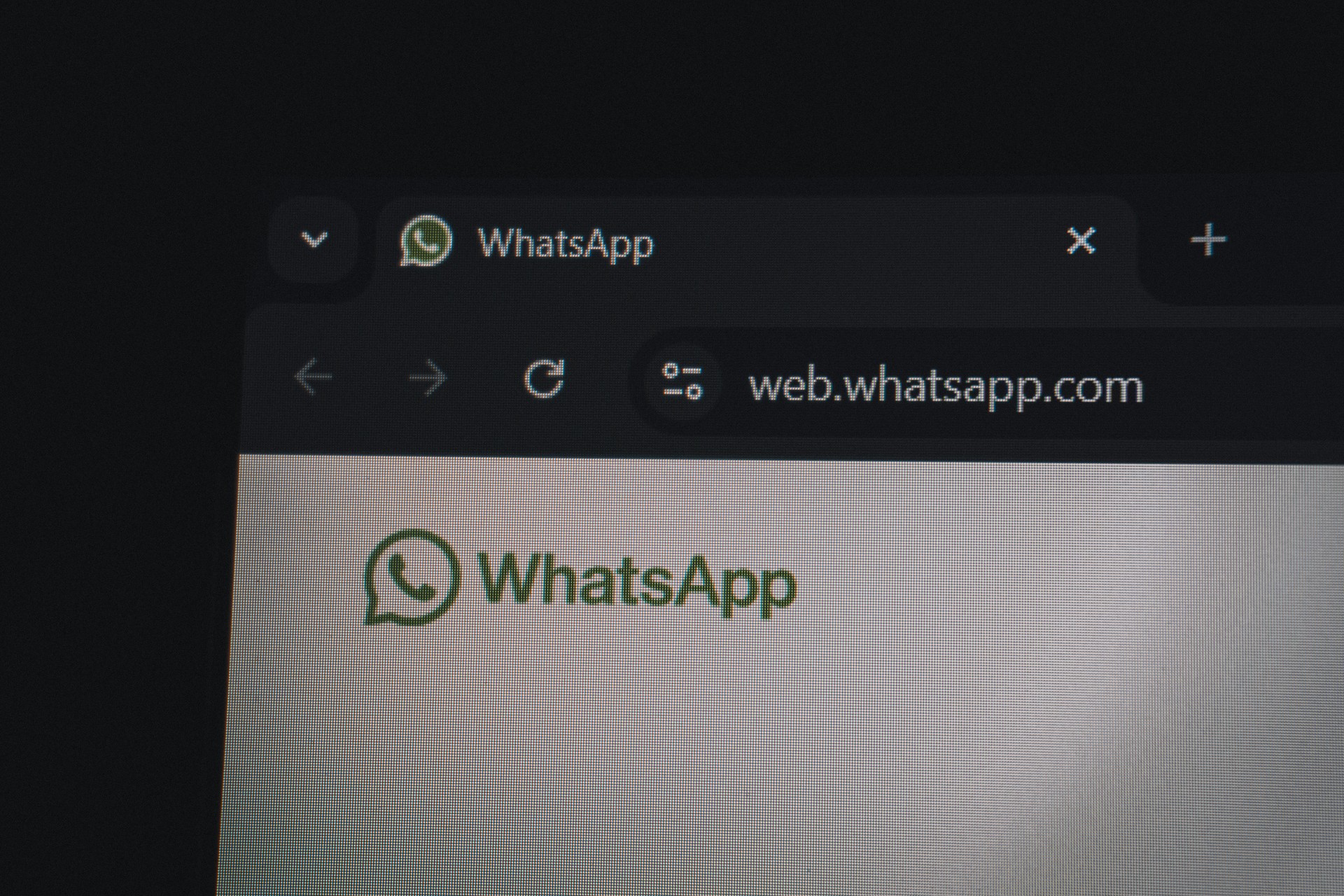 WhatsApp Web cambia look: in arrivo 27 temi per le conversazioni
