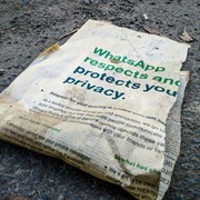 Che significa "sta scrivendo..." su WhatsApp: l'app vede ciò che digiti?