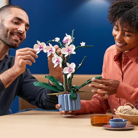 Set Da Costruire Orchidea TYCOLE – 779 Pezzi Fiori Artificiali Per Decorazione Casa E Ufficio, Regalo Creativo Per Adulti E Bambini