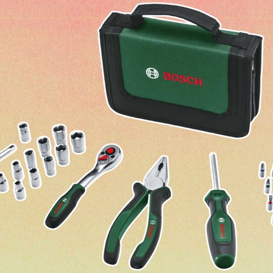 BOSCH GOL26 - Livella ottica automatica 26x, include piombo, kit di attrezzi e custodia per il trasporto