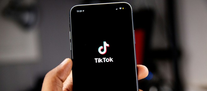 Anteprima: TikTok: i riassunti dellAI in cui scambia un cane per un origami saranno disattivati