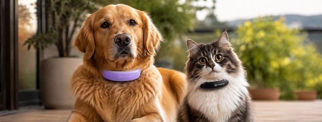 Bending Spoons acquisisce Tractive, specializzata in collari smart per animali