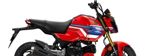 Honda MSX125 Grom 2026: in Italia arriva solo Tricolour