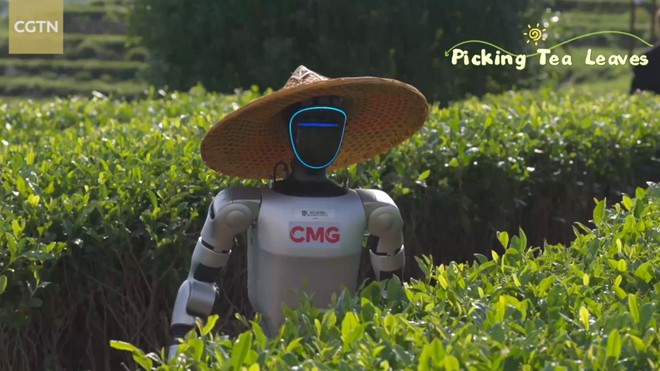 Robot umanoidi al lavoro anche nei campi: accade in Cina