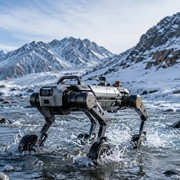 Un cane robot entra in un branco di antilopi tibetane | Video