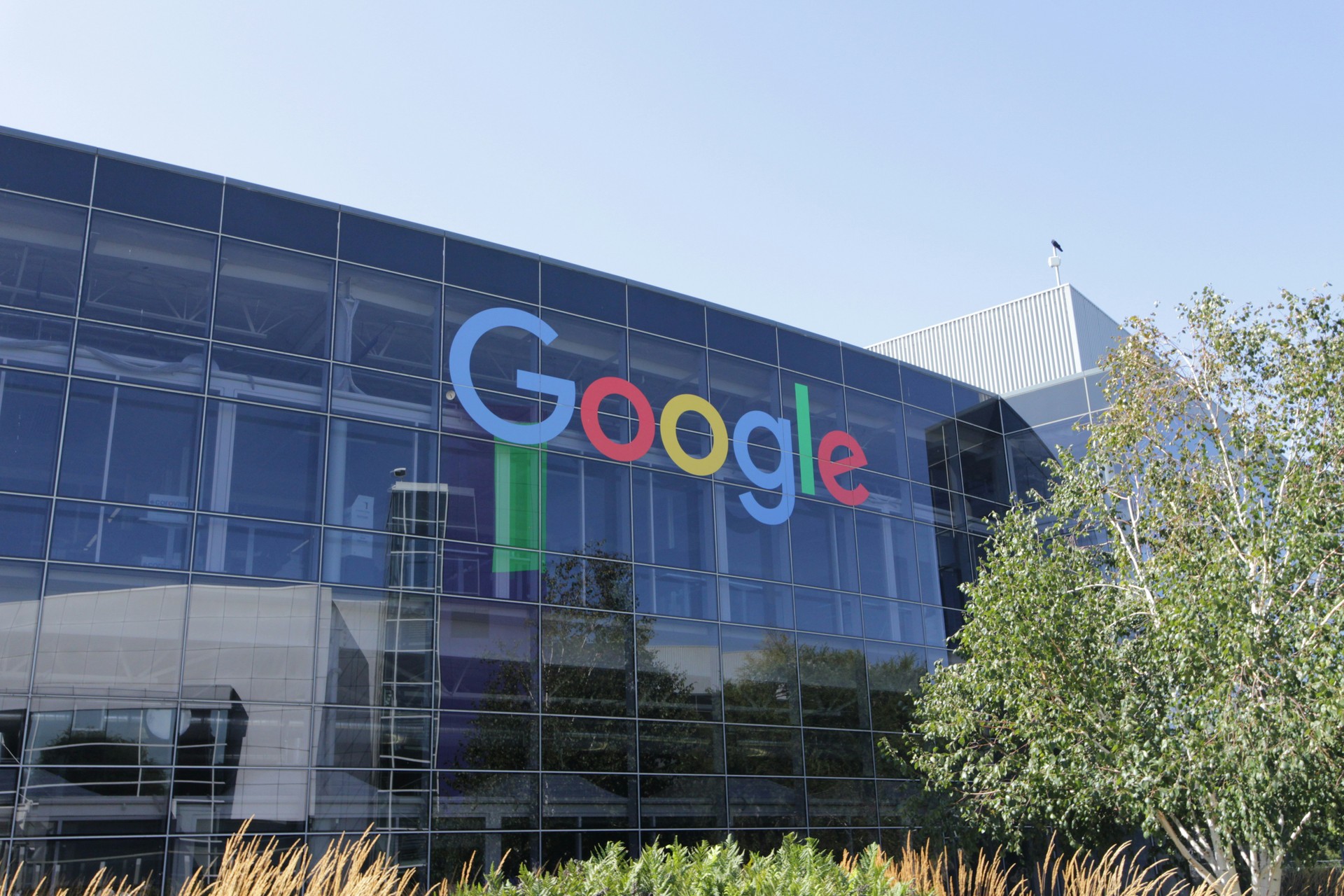 Google, licenziato dopo aver creato tool virale che semplifica l'uso di ...