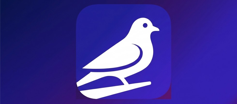 Il fenomeno virale di Roost, il social network dove la lentezza è la ...