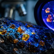 Scoperta l'ambra più antica della Terra: va rivista la storia delle piante