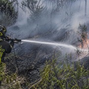 Google Maps: come individuare le aree boschive colpite da incendi in tempo reale