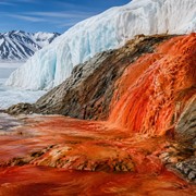 Blood Falls svela un ecosistema marino rimasto isolato sotto i ghiacci