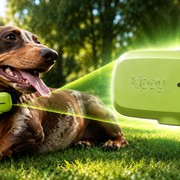 Ho provato "lo smartwatch per cani" con GPS e RETE DATI: vale la pena?