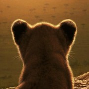 LION, il documentario che racconta quattro anni di vita di un leone arriva su Di