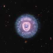 Webb osserva la Nebulosa del Leone e racconta la morte di una stella