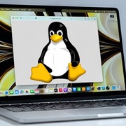 Linus Torvalds rilascia Linux 7.3-rc2: tanti fix in una RC più corposa del solit