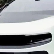 Ferrari Luce, chi è l&rsquo;uomo che ha speso 40 milioni di dollari per il primo