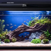 Xiaomi lancia un acquario smart che pensa quasi a tutto, anche a nutrire i pesci