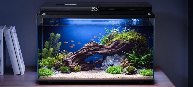Xiaomi lancia un acquario smart che pensa quasi a tutto, anche a nutrire i pesci