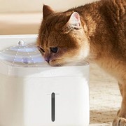 Xiaomi ha una nuova fontanella smart per cani e gatti che sterilizza anche l?acq