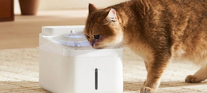 Anteprima: Xiaomi ha una nuova fontanella smart per cani e gatti che sterilizza anche lacqua