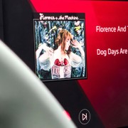 L'uscita di un album molto atteso può aumentare il numero di incidenti mortali?