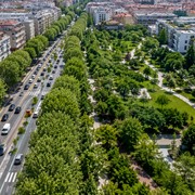 Meno rumore in città? Il segreto potrebbe essere dove mettiamo il verde