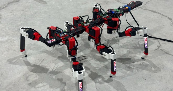 Perde una zampa ma continua a camminare: il robot che impara dagli insetti