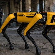 I robot Spot potrebbero entrare nelle operazioni dell?ICE